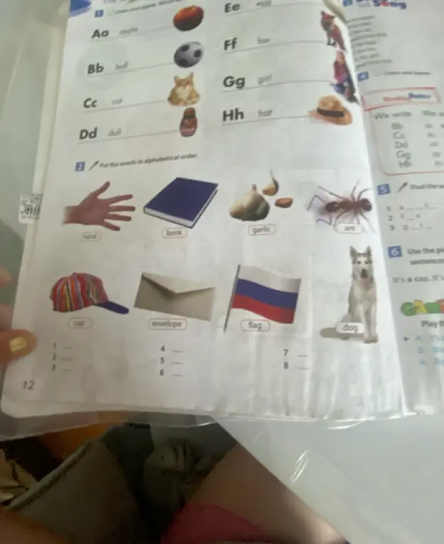 Расставь слова по алфавиту