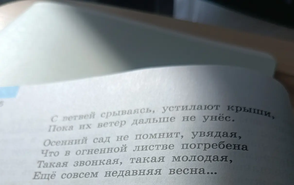 Прочитай выразительно отрывок из стихотворения С. Маршака «Как птицы, скачут и бегут, как мыши...». Найди в тексте глаголы употребленные в переносном значении. Какие ещё средства выразительности использовал автор? Выпиши грамматические основы предложений.