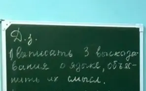 Выписать 3 высказывания о языке и объяснить их смысл.