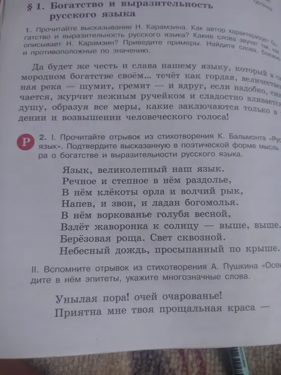 Как автор характеризует богатство и выразительность русского языка?