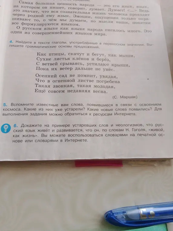 Найти все грамматические основы в стихотворении