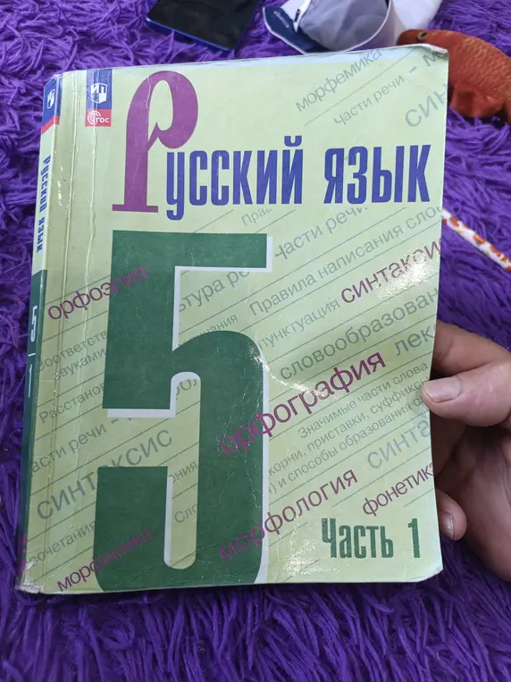 Что изображено на картинке?