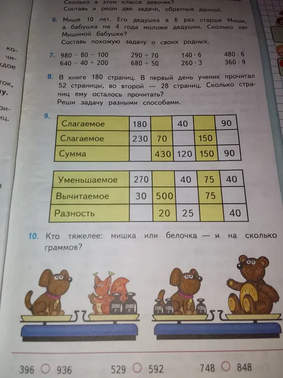 Кто тяжелее: мишка или белочка — и на сколько граммов?