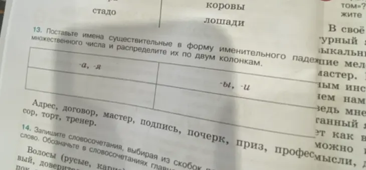 Поставь имена существительные в форму именительного падежа множественного числа и распредели их по двум колонкам.