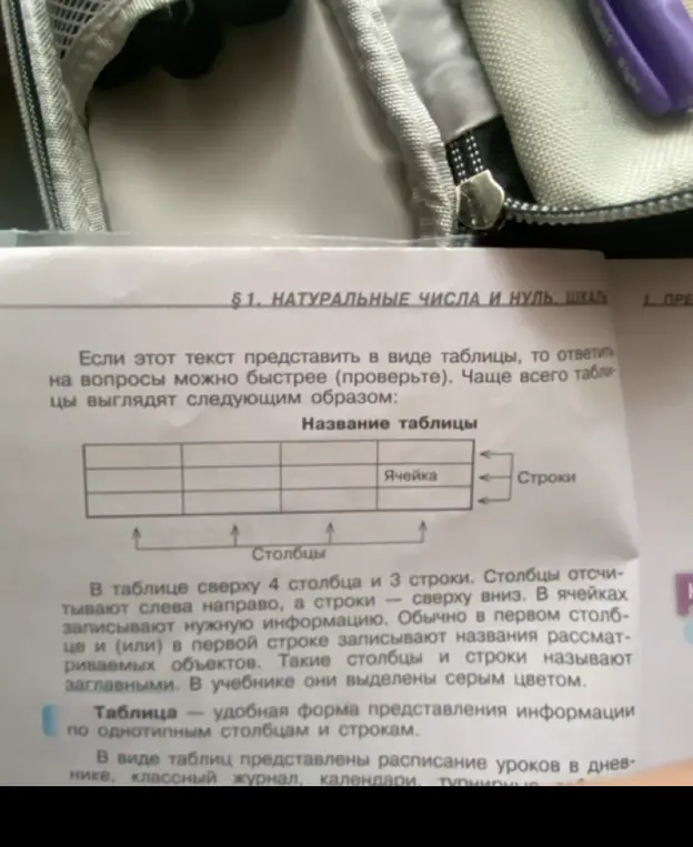 Объясни, что такое таблицы, ячейки, столбцы и строки.