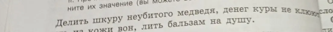 Объясни значение фразеологизмов: Делить шкуру неубитого медведя, денег куры не клюют, лить бальзам на душу