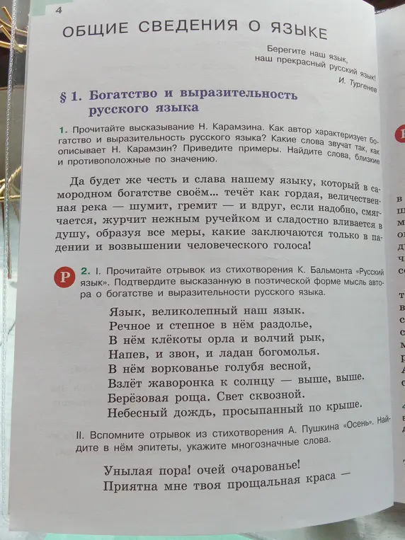 Прочитай высказывание Н. Карамзина. Как автор характеризует богатство и выразительность русского языка?
