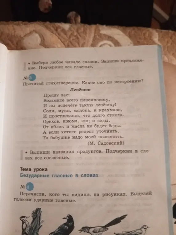 Какое настроение у стихотворения «Лепёшки» и выпиши названия продуктов, подчеркнув согласные.