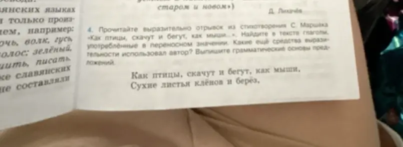 Найди в тексте глаголы, употреблённые в переносном значении, какие ещё средства выразительности использовал автор и выпиши грамматические основы предложений.