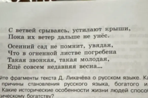 Найди в тексте глаголы, употреблённые в переносном значении, какие ещё средства выразительности использовал автор и выпиши грамматические основы предложений.
