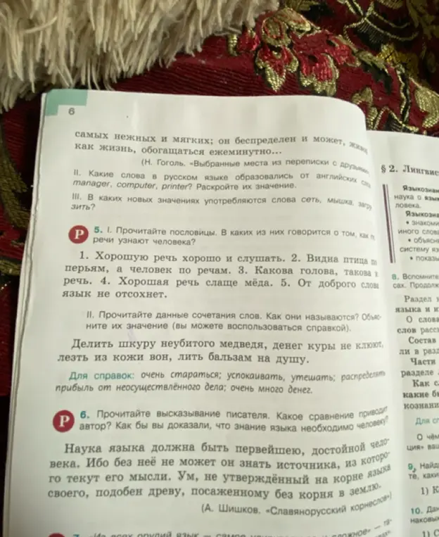 В каких пословицах говорится о том, как по речи узнают человека?