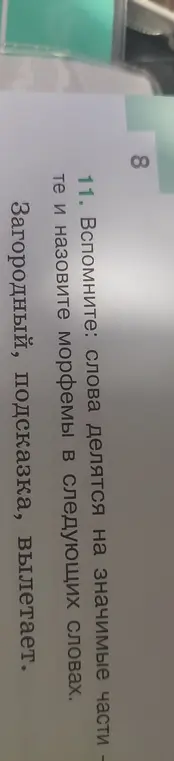 Назови морфемы в следующих словах: Зародышевый, Подсказка, Вылетает.