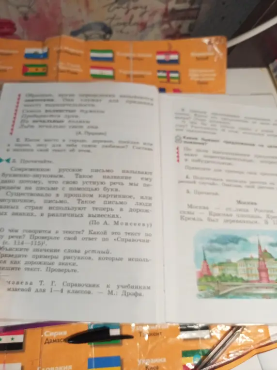 О чём говорится в тексте? Какой это текст по типу речи? Проверьте свой ответ по «Справочнику» (с. 114–115).