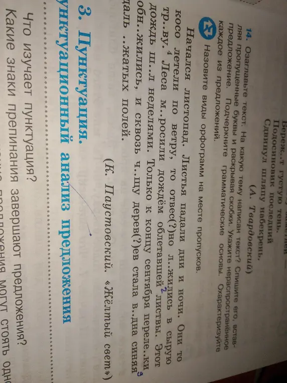 Что изучает пунктуация и какие знаки препинания могут стоять, когда завершают предложение?
