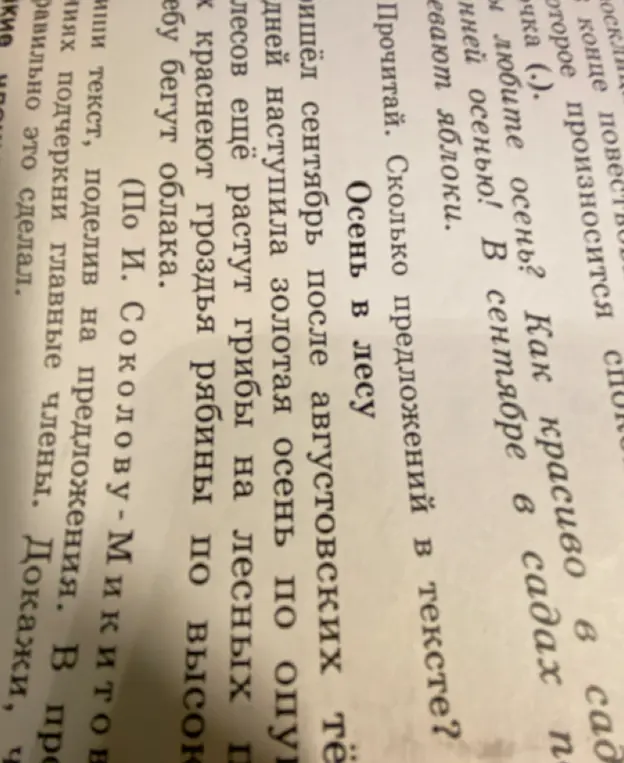 Сколько предложений в тексте?