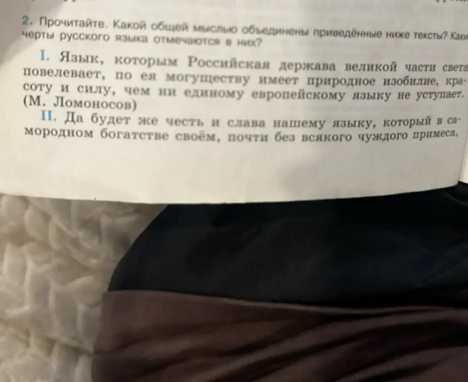 Какой общей мыслью объединены приведённые ниже тексты? Какие черты русского языка отмечаются в них?