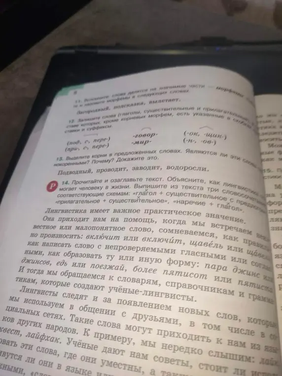 Выдели корни в предложенных словах: Подводный, проводит, заводит, водоросли. Являются ли эти слова однокоренными? Почему? Докажите это.
