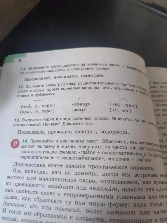 Выдели морфемы в словах "загородный", "подсказка", "вылетает". Запиши слова с указанными приставками и суффиксами. Выдели корни в предложенных словах и докажи, являются ли они однокоренными. Озаглавь текст, объясни, как лингвистика помогает человеку, и выпиши словосочетания по схемам.