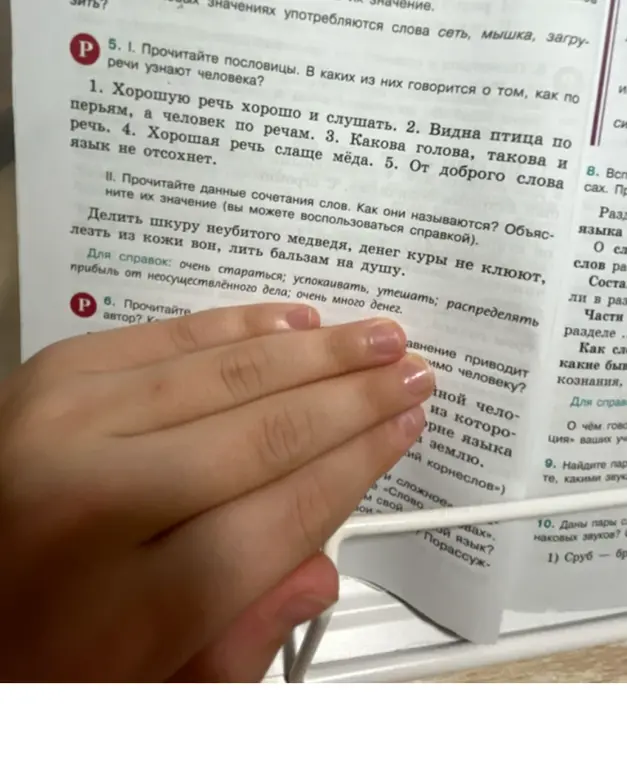 В каких пословицах говорится о том, как по речи узнают человека?