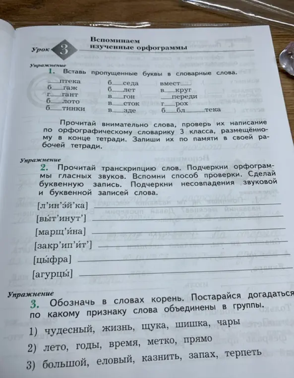 Вставь пропущенные буквы в словарные слова.