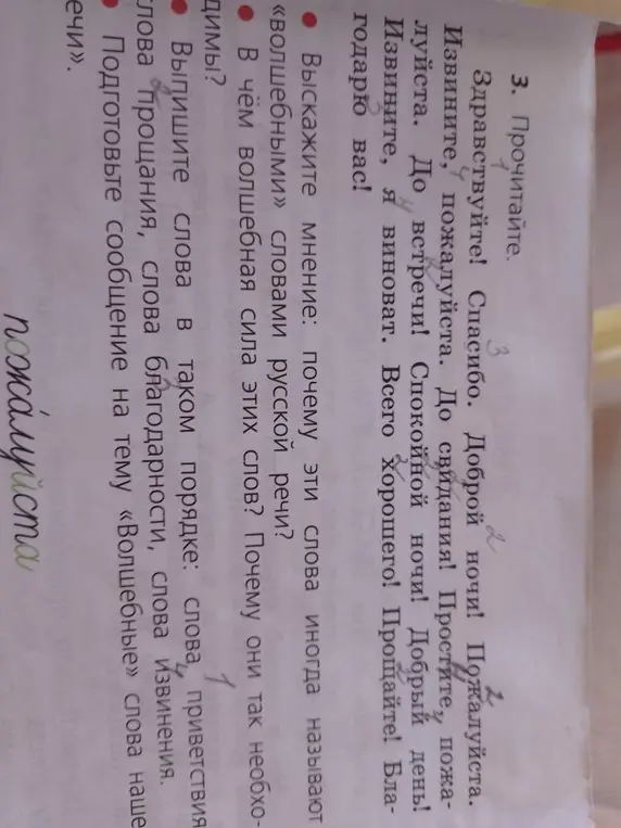 Почему эти слова иногда называют «волшебными» словами русской речи?