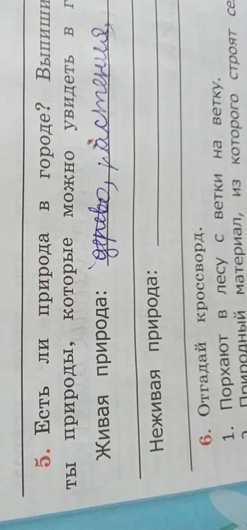 Перечисли живую и неживую природу, которую можно увидеть в городе и отгадай кроссворд.