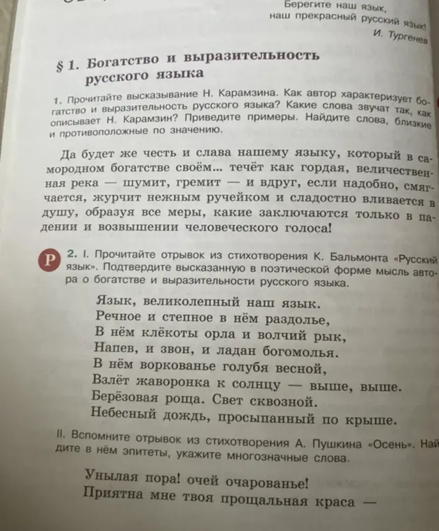 Как автор характеризует богатство и выразительность русского языка? Какие слова звучат так, как описывает Н. Карамзин? Приведи примеры. Найди слова, близкие и противоположные по значению.