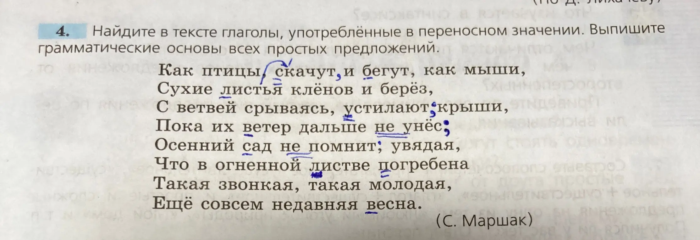 Найди в тексте глаголы, употреблённые в переносном значении и выпиши грамматические основы всех простых предложений.