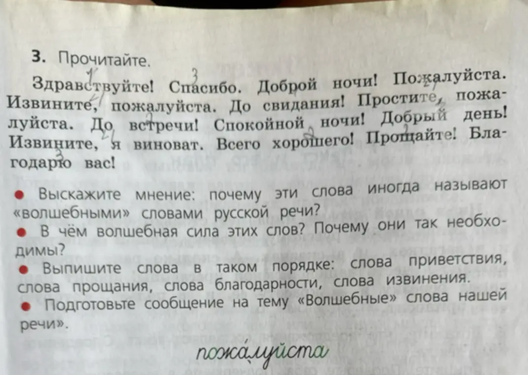 Почему эти слова иногда называют «волшебными» словами русской речи?