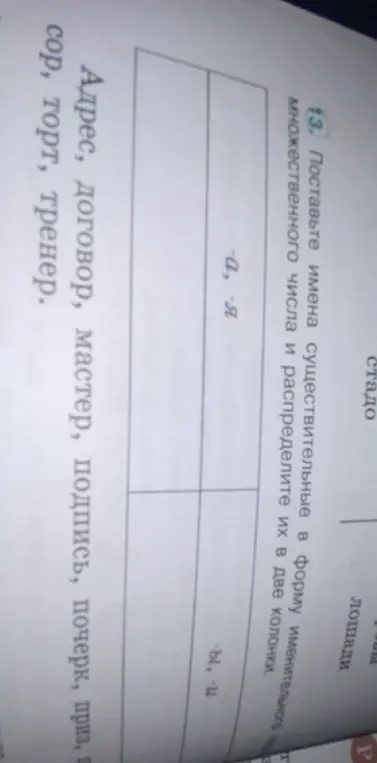 Поставь имена существительные в форму именительного множественного числа и распредели их в две колонки