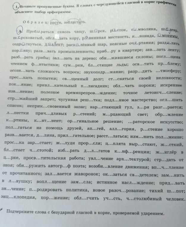 Вставь пропущенные буквы в словах с чередующейся гласной в корне и объясни выбор орфограммы