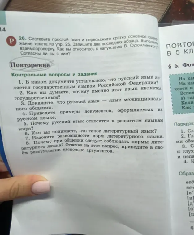 В каком документе установлено, что русский язык является государственным языком Российской Федерации?