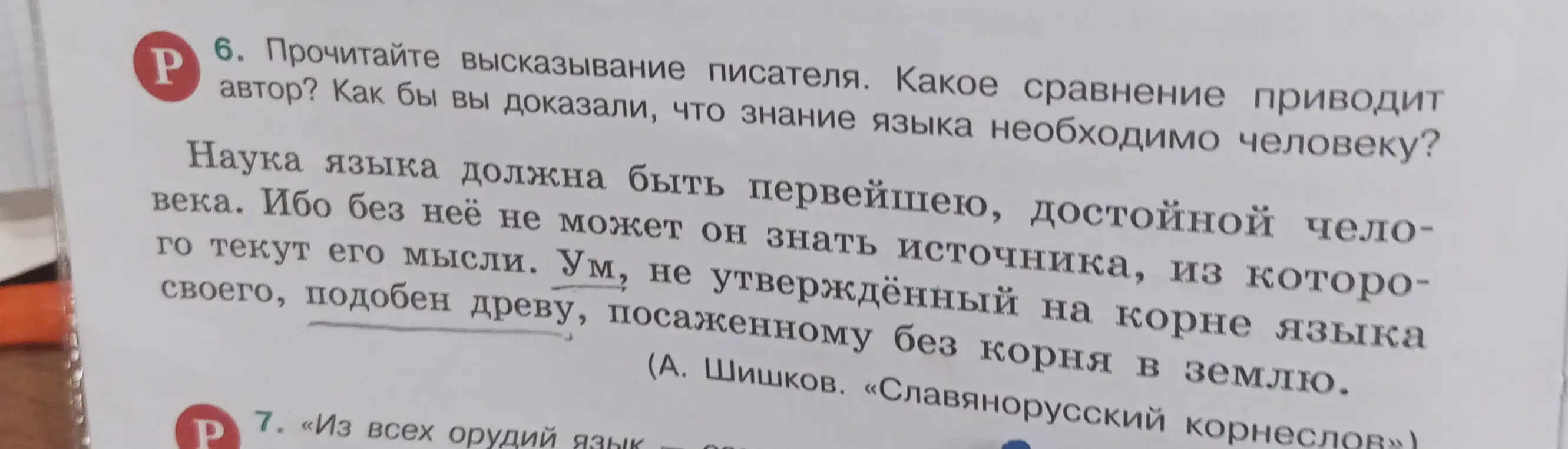 Прочитай высказывание писателя. Какое сравнение приводит автор? Как бы ты доказал, что знание языка необходимо человеку?