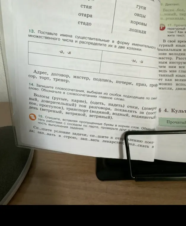 Поставь имена существительные в форму именительного множественного числа и распредели их в две колонки