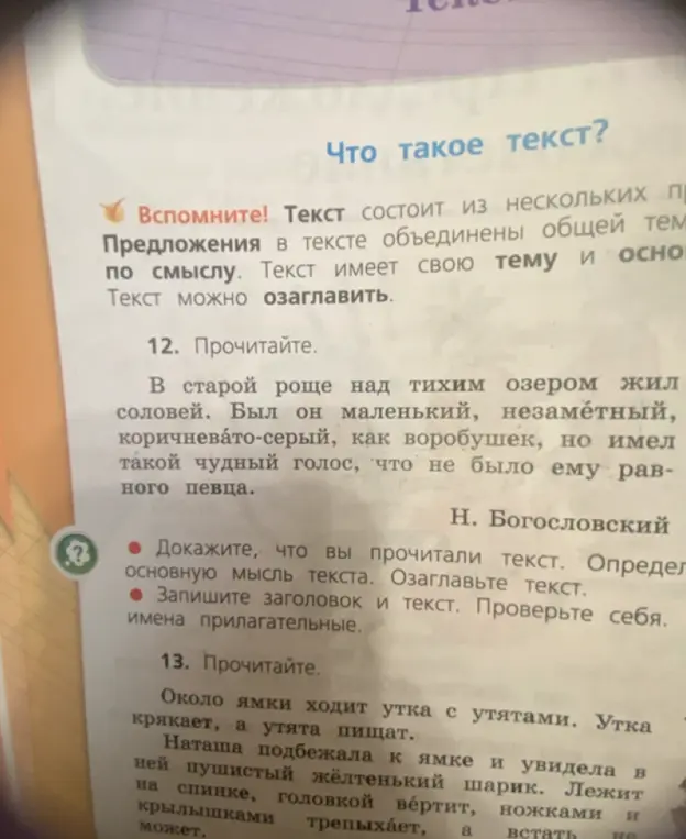 Прочитай текст и докажи, что ты прочитал текст, определи основную мысль текста, озаглавь текст, запиши заголовок и текст, а затем выпиши имена прилагательные.