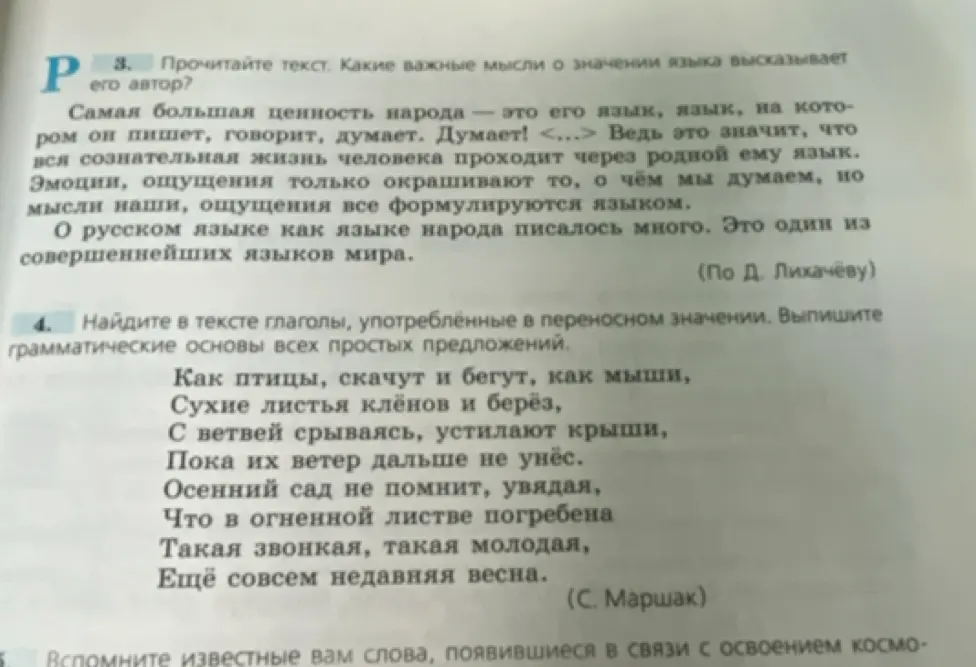 Какие важные мысли о значении языка высказывает автор?