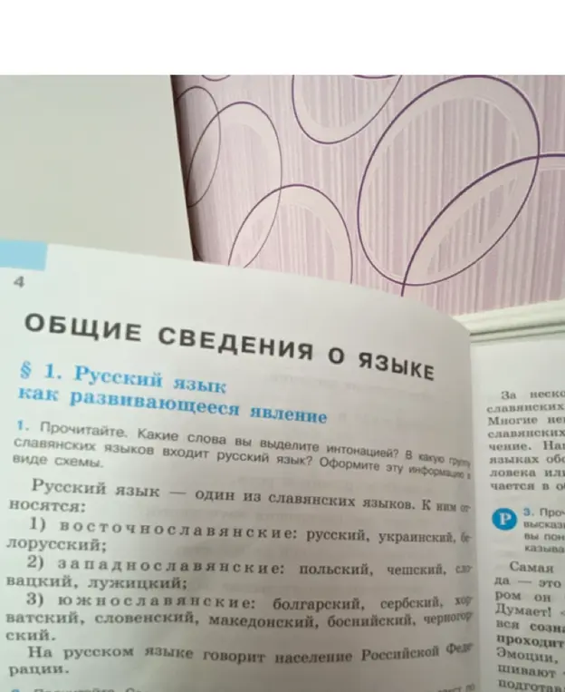 Прочитай текст, какие слова я выделю интонацией, и в какую группу славянских языков входит русский язык? Оформи эту информацию в виде схемы.