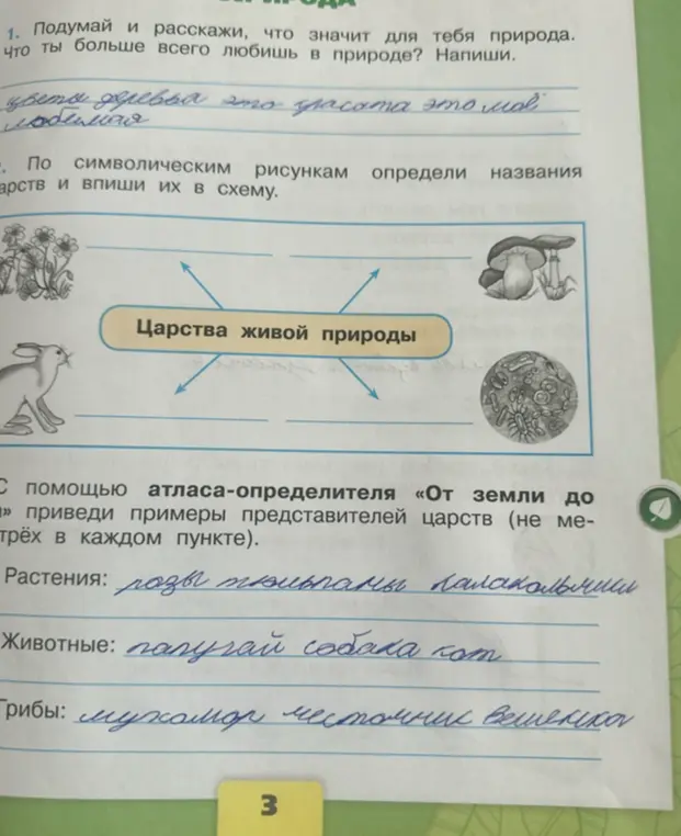 Подумай и расскажи, что значит для меня природа. что ты больше всего любишь в природе? Напиши.