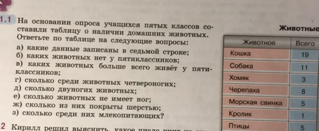 Какие данные записаны в седьмой строке?