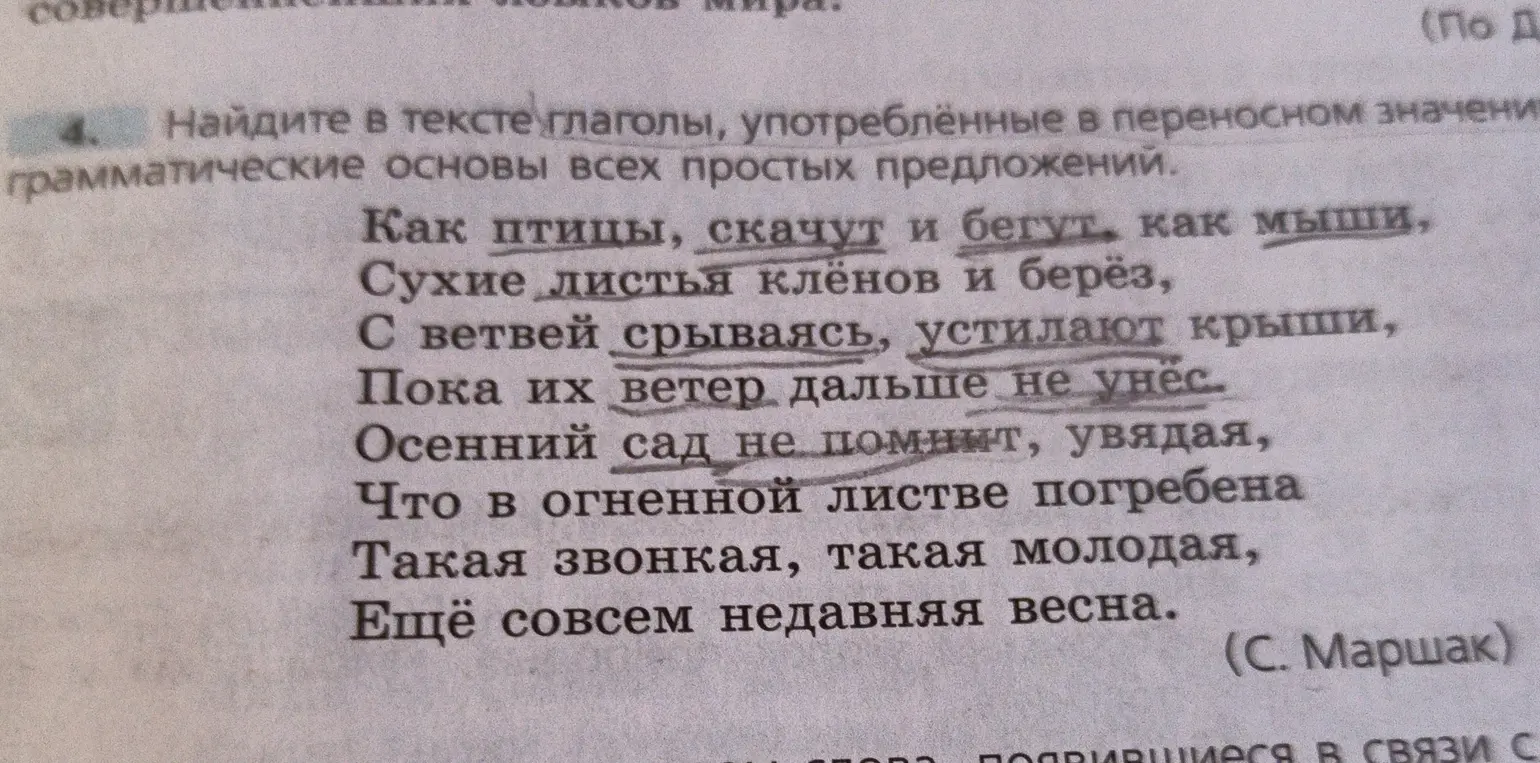 Найди в тексте глаголы, употреблённые в переносном значении, и грамматические основы всех простых предложений.