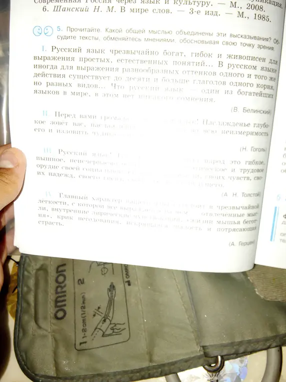 Какая общая мысль объединяет эти высказывания о русском языке?
