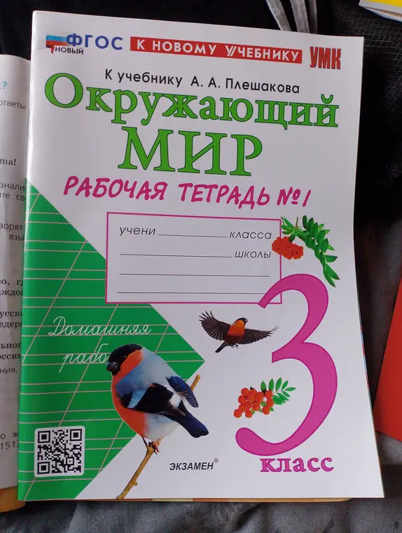 Что изображено на картинке?