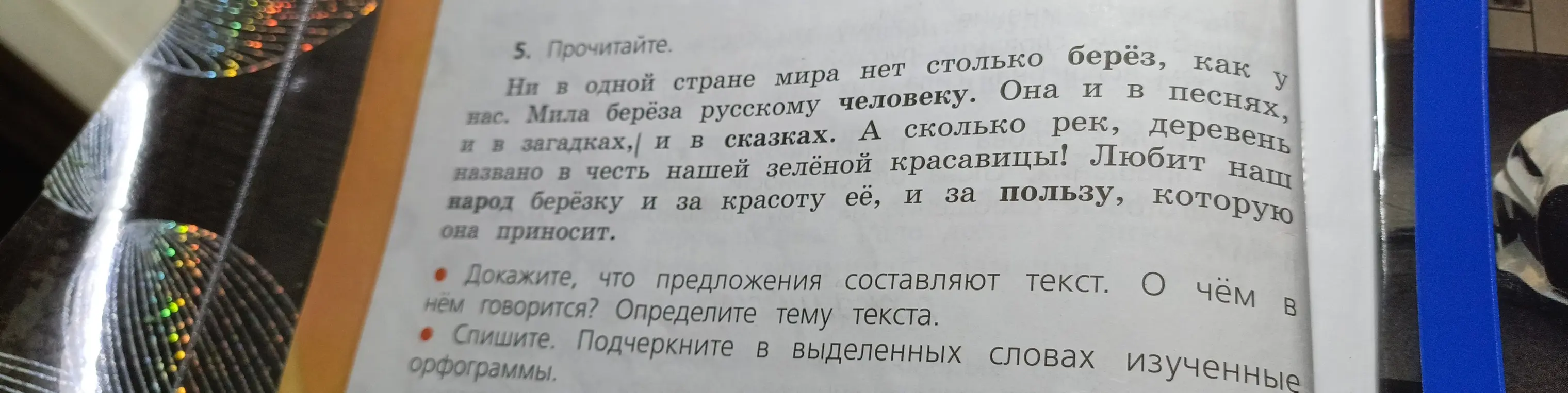 Докажи, что предложения составляют текст. О чём в нём говорится? Определи тему текста.