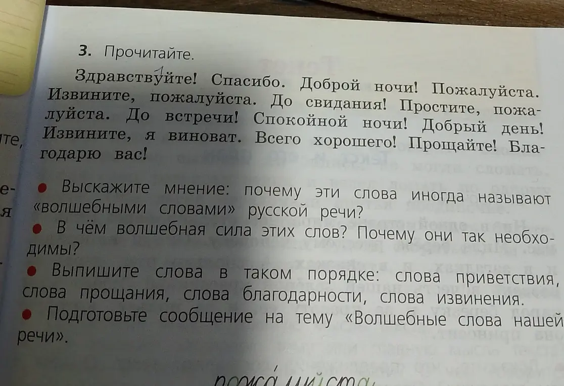 Выскажи мнение: почему эти слова иногда называют «волшебными словами» русской речи?