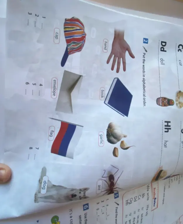 Расставь слова по алфавиту.