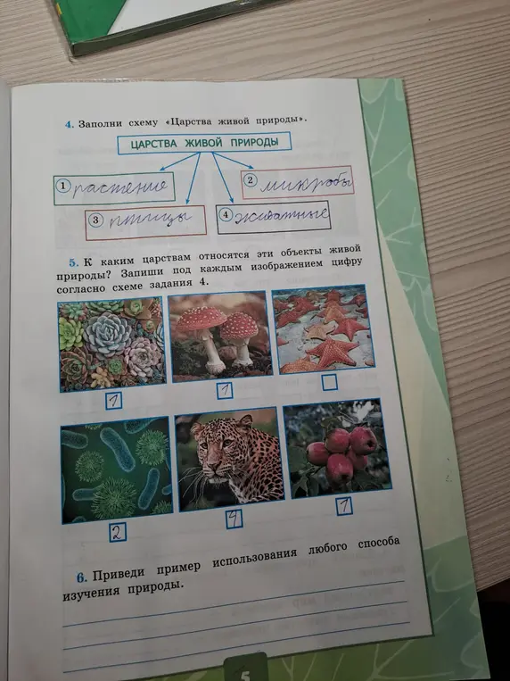 Заполни схему «Царства живой природы».
