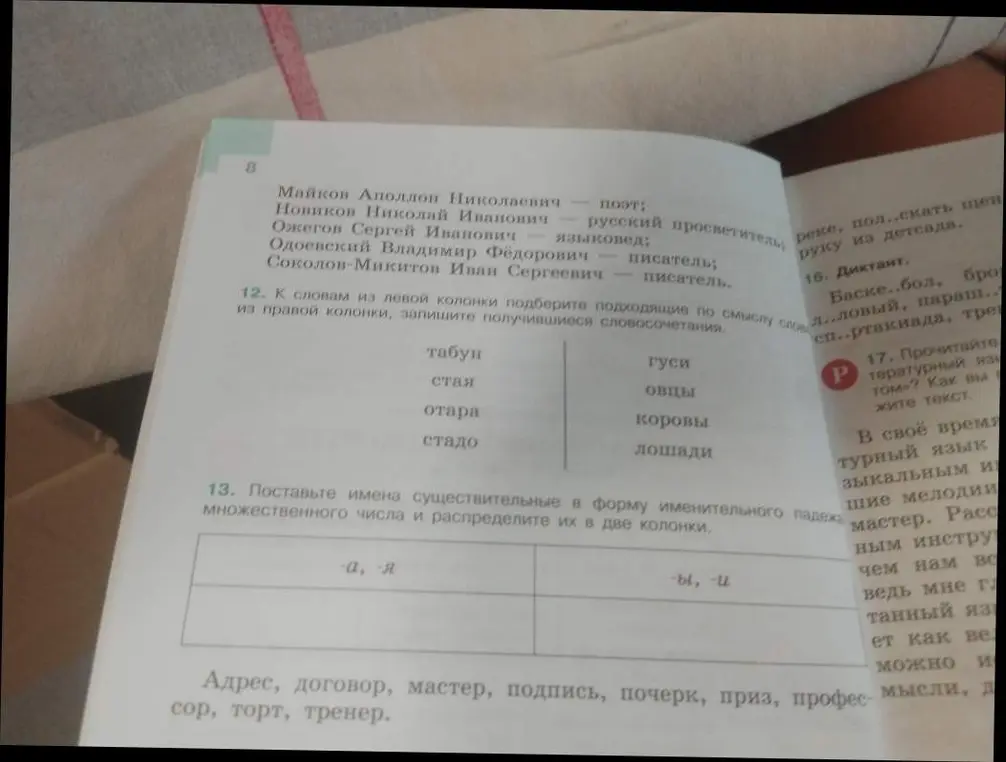 Составь словосочетания к словам из левой колонки и поставь имена существительные в форму именительного падежа множественного числа и распредели их в две колонки.