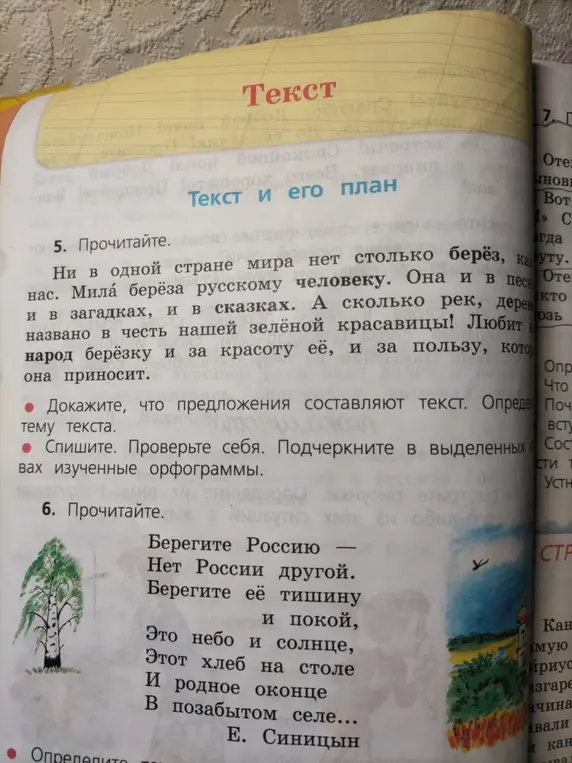 Докажи, что предложения составляют текст и определи тему текста. Затем спиши текст и подчеркни в выделенных словах изученные орфограммы.