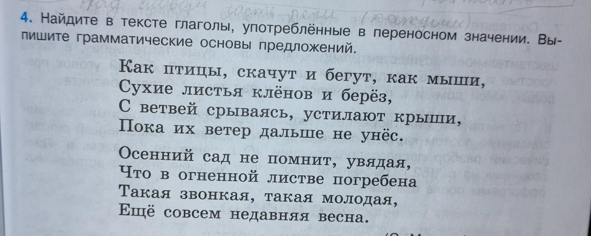 Найди в тексте глаголы, употреблённые в переносном значении, и напиши грамматические основы предложений.