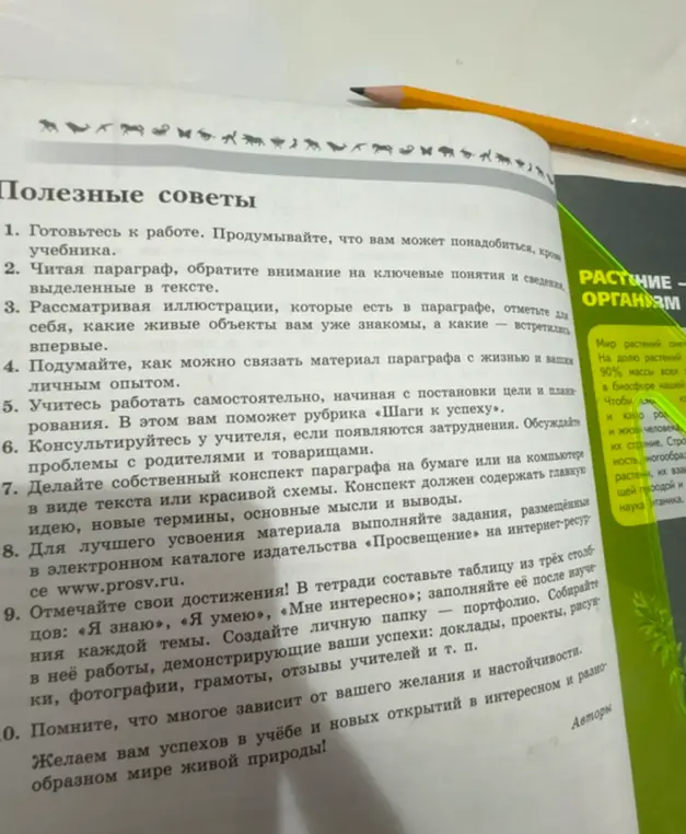 Разбери полезные советы из текста